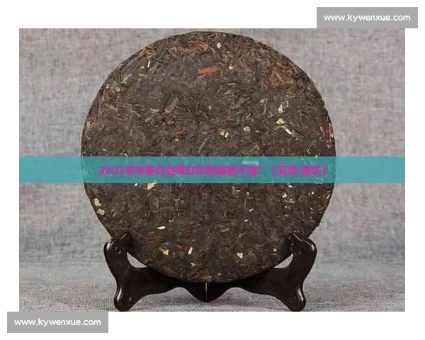 胜利与100线对比评测表现解析是否值得选择全面性能优缺点实测分析指南